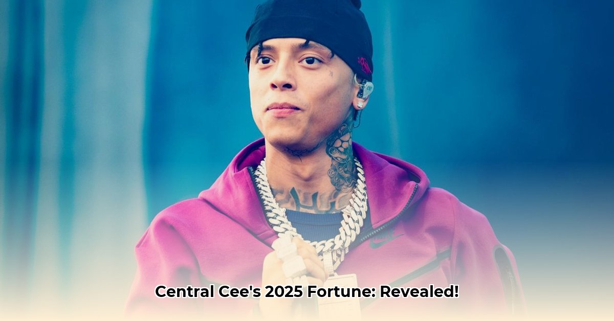 central-c-net-worth